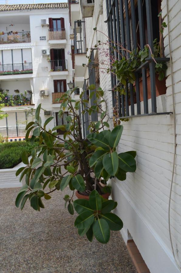 La Casa De Jose Manuel Apartment Севиля Екстериор снимка